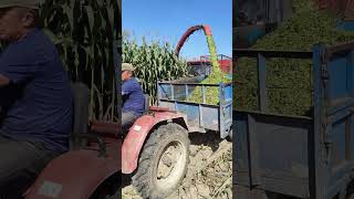 silage machineForage HarvesterSilage Chopper [upl. by Meir]