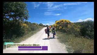 Trekking Passignano sul Trasimeno  Poggio Belveduto Parte 20 [upl. by Narmak]