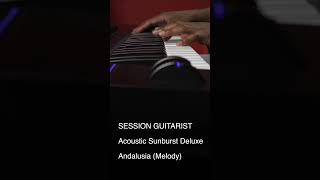 Listen to this SESSION GUITARIST ACOUSTIC SUNBURST DELUXE  Native Instruments [upl. by Pearce757]