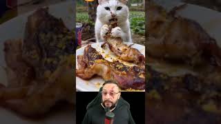 Churrasquinho de gato Será que faz peixe frito Vídeo de HUMOR ANIMAL com o Biólogo Henrique [upl. by Allez617]