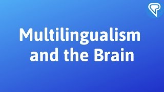 Multilingualism and the Brain A Conference at McGill University Montreal [upl. by Miguelita253]