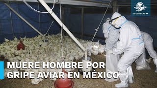 Registran primer muerte por gripe aviar H5N2 en México [upl. by Heffron]