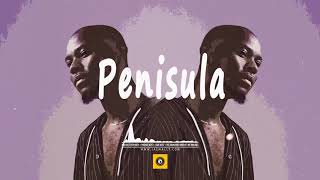 King Promise x Kidi x Kuami Eugene Type Beat  2019  PENISULA New School Ghana Afrobeat [upl. by Jalbert129]