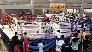 khedan Watan Punjab Dia Kickboxing 2024 season 3 Ludhiana [upl. by Eciruam]