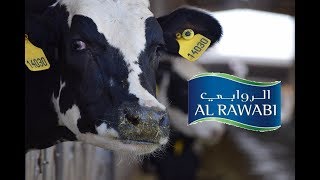 Al Rawabi Dairy Farm Video 2018 [upl. by Cristi830]