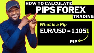 How To Calculate Pips Forex Trading For Beginners [upl. by Akienat]