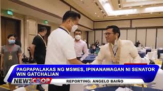 Pagpapalakas ng MSMEs ipinanawagan ni Sen Win Gatchalian  NEWSCOOP [upl. by Ahsotal]