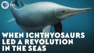 When Ichthyosaurs Led a Revolution in the Seas [upl. by Ailliw]