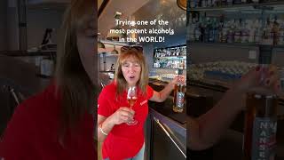 Trying the STRONGEST aquavit alcohol in the WORLD on my Norwegian HX Hurtigruten cruise ship [upl. by Terese]