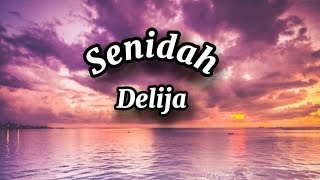 Senidah  Delija Lyrics tekst [upl. by Godber]