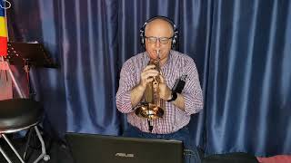 Caruso Lucio Dalla cover Enache Adrian flugelhorn [upl. by Aneekat]