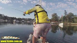 fishincomau  Zipbaits Skinny Pop JR [upl. by Clarance643]