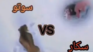 سكار vs سوتو [upl. by Jodee]