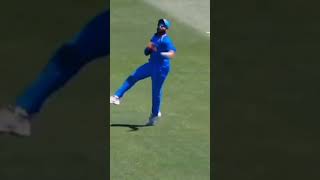 Sir Ravindra Jadeja fielding [upl. by Hepzi]