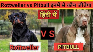 Rottweiler vs Pitbull Ultimate Comparison Revealed [upl. by Thekla561]