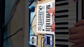 Korg Minilogue XD amp Poly Effects Beebo korg synth shorts [upl. by Koh]