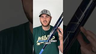 2025 Louisville Slugger LXT Fastpitch Softball Bat SPECS [upl. by Fletch]