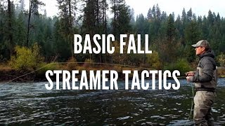 Basic Streamer Fly Fishing Tactics for Trout in the Fall [upl. by Mirilla537]