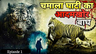 True Story the Man Eating Tiger of Chamala Valley । Striped Terror of Chamala Valley । Facts phylum [upl. by Patience]