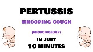 Pertussis  Microbiology Bordetella pertussis  clinical features investigations treatment [upl. by Alejoa]