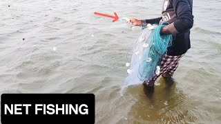 Traditional Net fishing at Rushikulya river  Fishing net video 🐟 [upl. by Oicatsana]