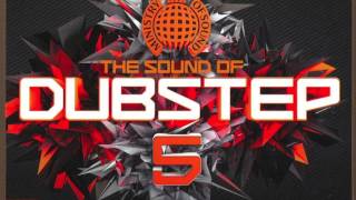 06  Decisions Original mix Explicit  The Sound of Dubstep 5 [upl. by Malina]