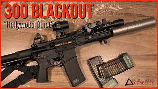 300 Blackout Suppressed  TGTT Ep 3  Roof Korean Concepts [upl. by Notsej]