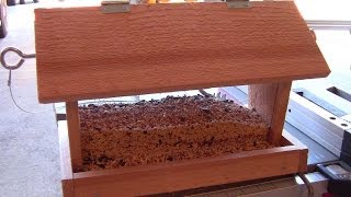 How to Build a Bird Feeder  Small DIY woodworking project [upl. by Anoj897]