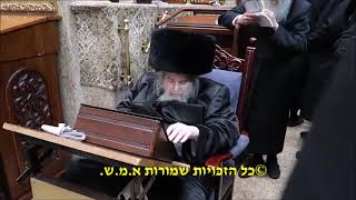 9 Av 5783 With Belzer Rebbe [upl. by Boru]