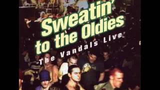 THE VANDALS  HEY HOMES  HB HOTEL [upl. by Alrick219]