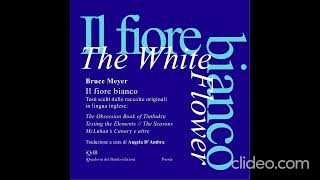 Il fiore bianco di Bruce Meyer [upl. by Cence]