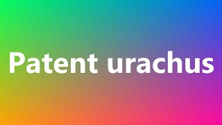 Patent urachus  Medical Meaning [upl. by Uon]