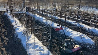 Rototilling the garden Minnesota winter 215 [upl. by Anrol]