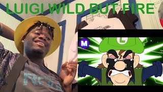 🎵Luigis Lament 2 LUIGIS REVENGE🎵  mashed  REACTION [upl. by Ial]