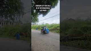 280sqm Lot For Sale in BF International BF Homes Las Pinas lotforsale lotforsalephilipines [upl. by Attelrahs]