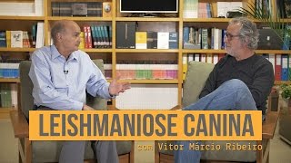 Leishmaniose canina  Vitor Márcio Ribeiro [upl. by Nyrahs]