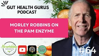 Morley Robbins on The PAM Enzyme Part 2 [upl. by Leda]