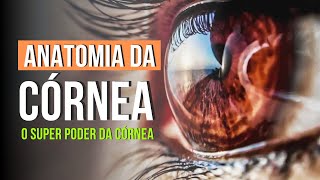 CÓRNEA  O SUPER PODER DA CÓRNEA  Série Anatomia Ocular [upl. by Ramraj]