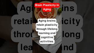 Brain Plasticity in Aging [upl. by Ahsille]