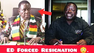 Mnangagwa Resignation Dates Out  COZWVA 😳 [upl. by Elexa533]