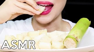 ASMR SUGAR CANE Eating Sounds 사탕수수 리얼사운드 먹방 [upl. by Lleuqar]