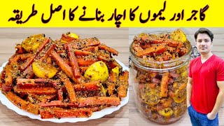 Gajar Pickle Recipe By ijaz Ansari  Achar Banane Ka Tarika  Carrot Pickle Recipe [upl. by Minier]