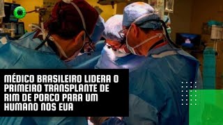 Médico brasileiro lidera o primeiro transplante de rim de porco para um humano nos EUA [upl. by Fitzsimmons106]