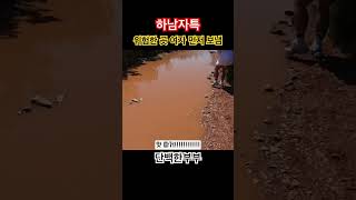 shorts 거기 악어 나오는거 같으니까 여보먼저가봐 travel 유튜버 couple [upl. by February]