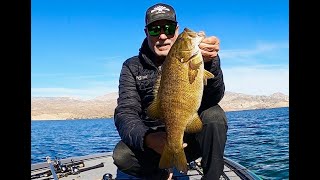 CRANKBAITS FOR TANKSLake Mohave Smallmouth 3292024 [upl. by Norrab]