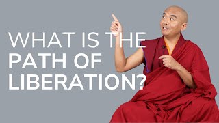 What Is the Path of Liberation — Mingyur Rinpoche [upl. by Leimaj752]