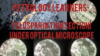 feldspar mineral in thin section  under optical microscope 🔬petrography [upl. by Nonnahsed307]