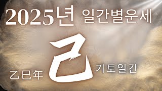 계절사주미리보는 운세 2025년 기토己일간 운세 을사년 기토 [upl. by Boote]