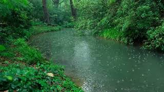 The beautiful little river is raining321  sleep relax meditate study work ASMR [upl. by Ailegra]