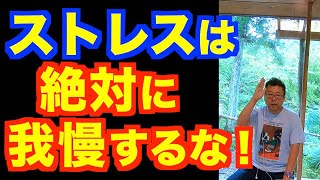 ストレス耐性を強めるな！【精神科医・樺沢紫苑】 [upl. by Aldredge]